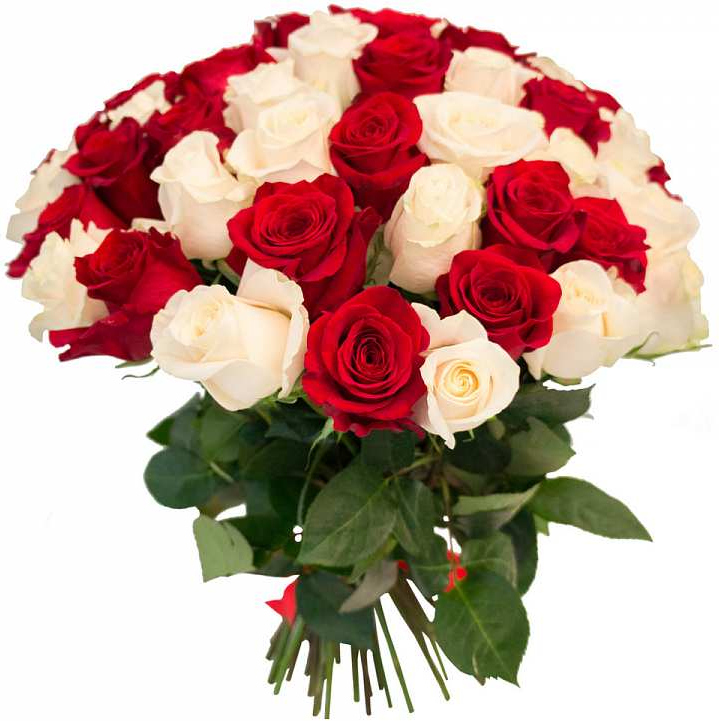 Розы Россия микс № 3 Розы Россия микс № 3