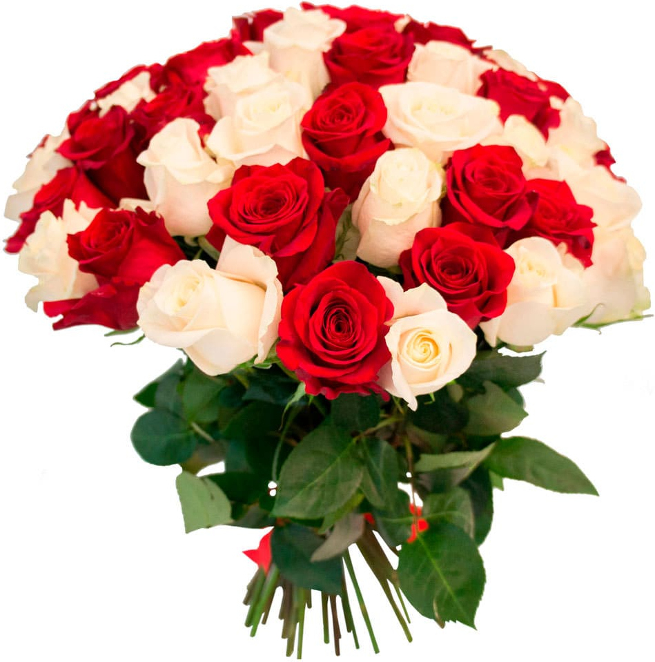 Розы Эквадор микс № 5 Розы Эквадор микс № 5