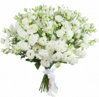 Белая эустома Белая эустома