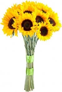 Букет «Цветы жизни» Букет «Цветы жизни»